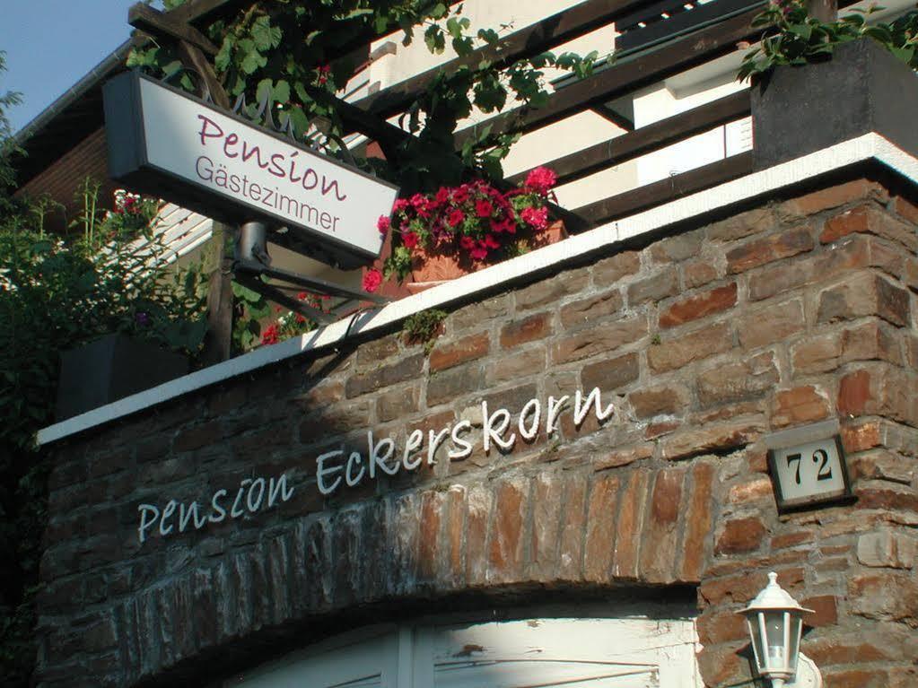 Haus Uebernachtenswert Cochem Mosel Exteriér fotografie
